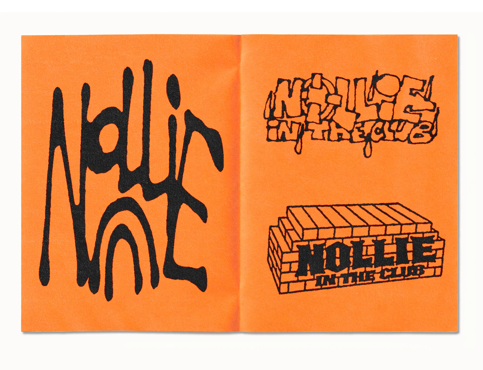 Nollie in the Club, image 5